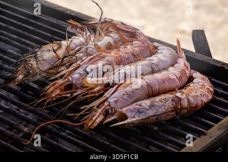 Nahaufnahme von frischen Garnelen, die auf einem Straßenmarkt in Palermo, Sizilien, gegrillt werden. Fisch und Meeresfrüchte auf offenem Feuer, traditionelle mediterrane Küche. Stockfoto