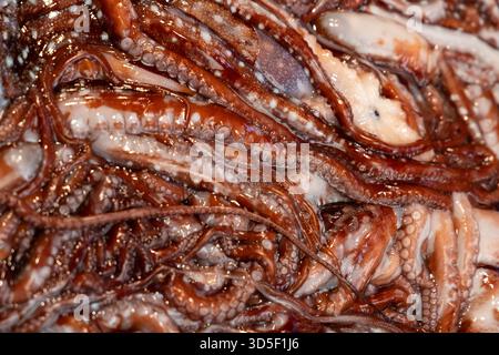 Nahaufnahme frischer Oktopustentakeln mit detaillierter Textur und Saugnäpfen. Hintergrund mit Meeresfrüchten und Meeresfrüchten mit mariner Textur und Farbe. Stockfoto