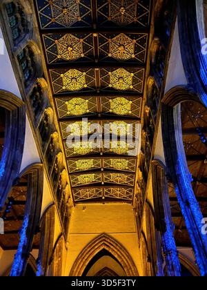 Detaillierte Ansicht der beleuchteten gotischen Decke und des Eisenwerks im Hull Minster, England. Architektonische Symmetrie, warme Beleuchtung, Stockfoto