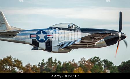 MONROE, NC (USA) - 9. November 2025: Nahaufnahme eines P-51 Mustang-Kampfflugzeugs aus der Zeit des Zweiten Weltkriegs, das auf Baumkronen auf der Warbirds Over Monroe Air Show flog. Stockfoto