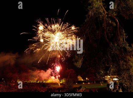 Ein helles Feuerwerk explodiert am Nachthimmel über einem Park, während sich eine kleine Gruppe von Menschen versammelt, um die farbenfrohe Ausstellung zu beobachten Stockfoto