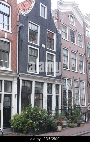 Gebäude entlang der Buiten Brouwers Straat in Amsterdam, Niederlande Stockfoto