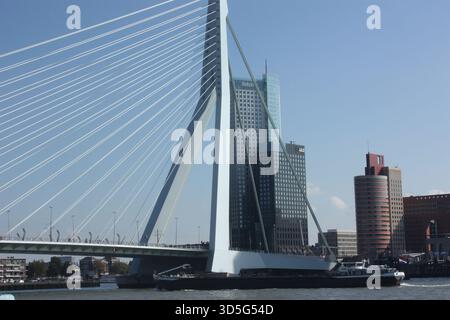 Die Erasmus-Brücke über den Fluss Nieuwe Maas in Rotterdam, Niederlande Stockfoto
