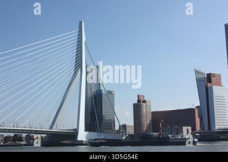 Die Erasmus-Brücke über den Fluss Nieuwe Maas in Rotterdam, Niederlande Stockfoto