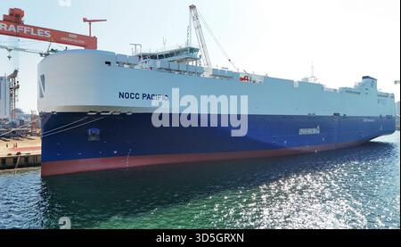 Das LNG-Transportschiff NOCC PACIFIC wurde am 14. November 2025 auf der CIMC Raffles Shandong Longkou Construction Base in Yantai, Provinz Shandong, China, fertiggestellt. Stockfoto