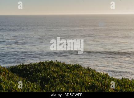 Eine hohe Aussicht auf zwei Surfer, die auf ihren Brettern waten, während sie auf die nächste Welle bei Sonnenuntergang in Santa Cruz, Kalifornien, warten. Stockfoto