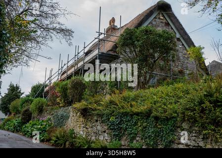 Gerüstbau auf einem alten, reetgedeckten Landhaus im historischen Dorf Godshill auf der isle of wight, Großbritannien. Das Dach des Cottage wird reetgehängt. Stockfoto