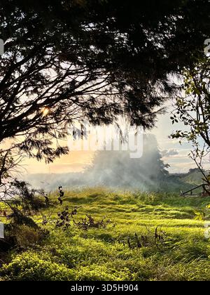 Weicher Morgennebel über einer grünen Wiese mit Bäumen und aufsteigendem Sonnenlicht. Friedliche ländliche Landschaft in der Nähe von Hull, England, mit natürlicher Schönheit und Ruhe. Stockfoto