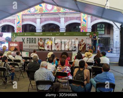 Cuernavaca, Morelos. Mexiko. November 2025. X World Forum on Mexican Gastronomy. Dokumentaraufnahme des Gastronomy Forum Events mit Publikum in Morelo Stockfoto