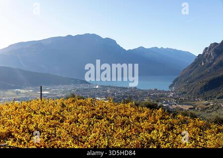 Wunderschöner Blick auf den Gardasee, umgeben von Bergen und Weinbergen in lebendigen Herbstfarben, der eine spektakuläre italienische Landschaft und das Land zeigt Stockfoto
