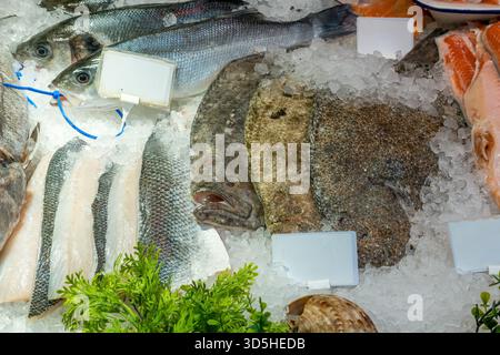 Verschiedene Fischarten zum Verkauf auf einem Markt in London Stockfoto