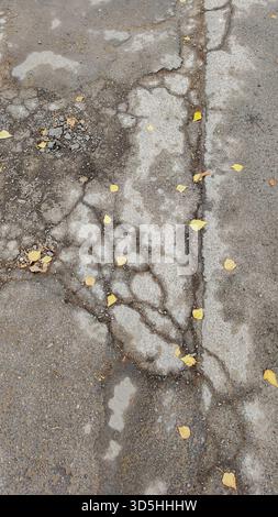 Das Bild zeigt eine Nahaufnahme von beschädigtem Asphalt mit Rissen und gelben Blättern, die über die Oberfläche verstreut sind Stockfoto