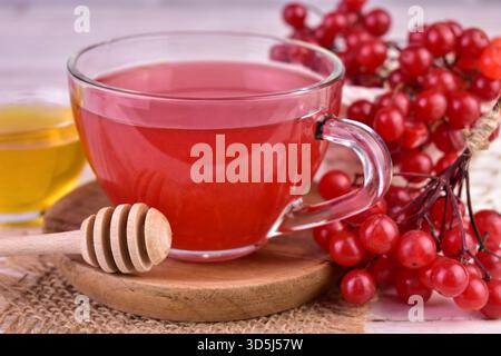 Viburnum-Beerentee in einer transparenten Tasse. Nahaufnahme. Heiltee bei Erkältungen. Stockfoto