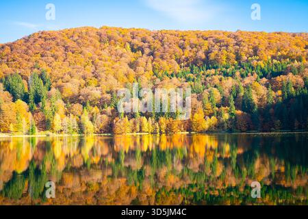 Atemberaubende Reflexionen der Herbstbäume im St. Anna See in Siebenbürgen, Rumänien Stockfoto