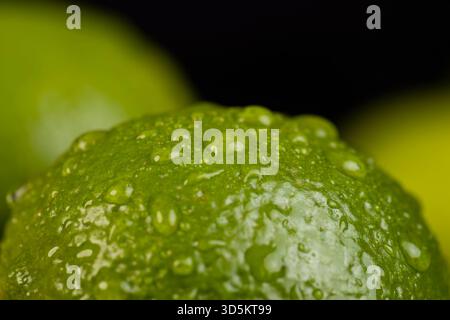 Feuchte grüne reife Zitruslimes auf dem Holztisch verstreut, reife und saftige Limettenfrüchte zum Kochen, grüne Limetten bedeckt mit Wassertropfen Stockfoto