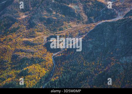Blick von oben auf die Hänge der Berge, die im Herbst mit Wald bewachsen sind. Berge, Tourismus. Herbstfarben. Selektiver Fokus Stockfoto