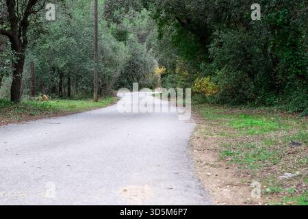 Unbefestigte Straße schlängelt sich durch ein bewaldetes Gebiet in der ländlichen Provence, Südfrankreich. Redaktionelles Bild von Natur, Landschaft und Wanderwegen im Freien. Stockfoto