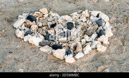 Ein Herz aus Steinen und Muscheln liegt am Sandstrand und schafft ein bezauberndes und friedliches Detail an der Küste. Stockfoto