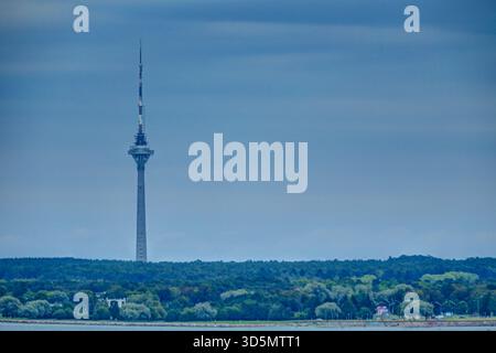 Tallinn TV Tower erhebt sich über einer bewaldeten Landschaft am Stadtrand unter einem klaren blauen Himmel. Stockfoto