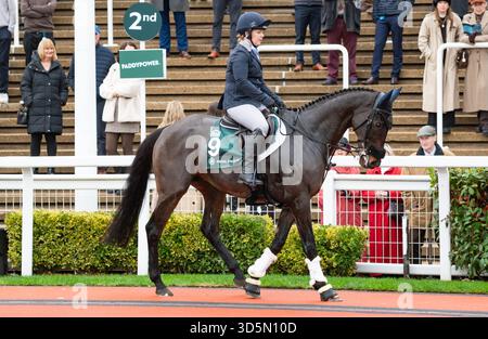 Regal Encore und der Fahrer Suzy Stoneman nehmen an der Umschulung der Rennpferdeparade in Cheltenham, 15.11.25 teil. Credit JTW equine Images / Alamy. Stockfoto