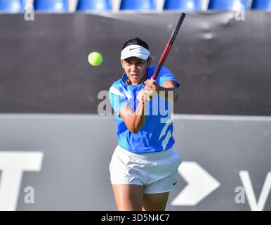 Bengaluru, Indien. November 2025. Shrivalli Bhamidipati (IND) in Aktion während des Gruppenspiels G im staatlichen Rasentennisverband Karnataka während der Billie Jean King Cup Playoffs in Bengaluru, Indien. (Foto: Ranjith Kumar/AFLO) Stockfoto
