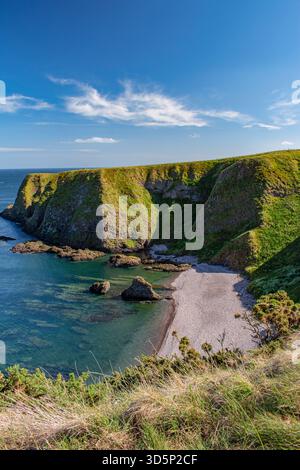 Schottland, Großbritannien: Luft- und Panoramablick auf den Strand unter Dunnottar Castle, eine ruinierte mittelalterliche Festung auf einer felsigen Landzunge an der Nordostküste Stockfoto