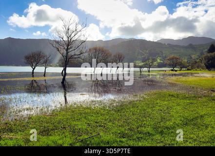 Azoren See von Sete Cidades mit Baum im Wasser reflektiert und Sonne, auf der Insel Sao Miguel, Portugal Landschaft Stockfoto