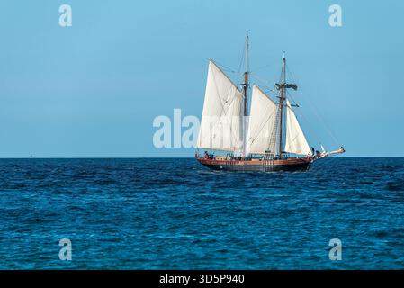 Altes verlassenes Bauernhaus aus Stein, bedeckt mit Weinstöcken in Cornwall, Großbritannien Stockfoto