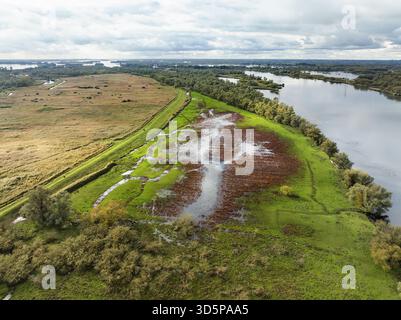 Aus der Vogelperspektive des ruhigen Baches, der das pulsierende Grün und Rot umschließt, im Nationalpark Biesbosch, dem größten Süßwassergezeitengebiet Europas, Noord-br Stockfoto