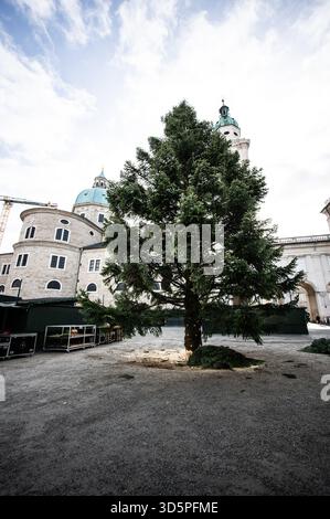 Aufbauarbeiten und Aufbau des Salzburger Christkindlmarktes am Residenzplatz und Domplatz am 11.11.2025. Im Bild: Der ungeschmückte Weihnachtsbaum am Tag seiner Anreise // Vorbereitung und Einrichtung des Salzburger Weihnachtsmarktes am Residenzplatz und Domplatz am 11. November 2025. Im Bild: Der undekorierte Weihnachtsbaum am Tag seiner Ankunft. - 20251111 PD20461 Stockfoto