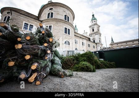 Aufbauarbeiten und Aufbau des Salzburger Christkindlmarktes am Residenzplatz und Domplatz am 11.11.2025. Im Bild: Christbäume // Bauarbeiten und Aufbau des Salzburger Weihnachtsmarktes am Residenzplatz und Domplatz am 11. November 2025. - 20251111 PD20459 Stockfoto