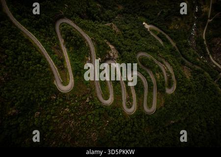 Aus der Vogelperspektive auf eine Serpentinenstraße, die durch die grüne, zerklüftete Landschaft der Lysefjord-Berge führt, ein gewundenes Asphaltband gegen ein Band Stockfoto