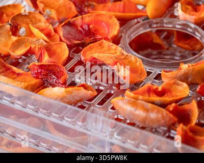 Saftige Persimmonscheiben werden in transparentem Kunststoff-Trockenmittel getrocknet, natürliche Süßfrucht-Snack-Zubereitung. Nahaufnahme Makroaufnahme. Stockfoto