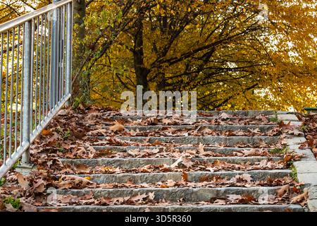 Steintreppen bedeckt mit Herbstlaub Stockfoto