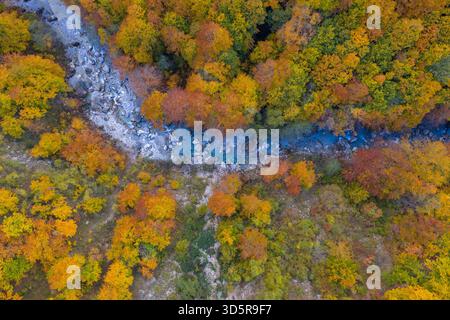 Aus der Vogelperspektive auf den Herbstwald und einen felsigen Bach, der sich durch den Valbona Valley National Park im Norden Albaniens schlängelt. Stockfoto