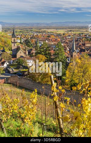 Ribeauville, Haut-Rhin, Grand Est, Frankreich Stockfoto