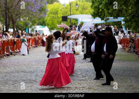Das 86. Traditionsfest in San Antonio de Areco, Argentinien, vom 14. Bis 16. November 2025 umfasst Live-Musik, traditionelle Tänze, Volksmusik, Paraden und andere Aktivitäten im Gaucho-Stil. (Foto: Catriel Gallucci Bordoni/NurPhoto)0 Credit: NurPhoto SRL/Alamy Live News Stockfoto