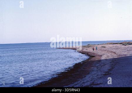 Die Grenze ist verschwunden, Westberliner können jetzt ohne größere Formalitäten wieder in den alten Berliner Bädern Usedom und Rügen schwimmen gehen, hier sehen Sie einen kleinen Küstenstreifen [automatisierte Übersetzung] Stockfoto