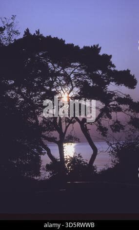 Die Grenze ist verschwunden und Westberliner können nun ohne größere Formalitäten wieder in die alten Berliner Badewannen Usedom und Rügen zurückkommen. [Automatisierte Übersetzung] Stockfoto