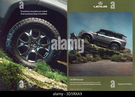 Cooking and Lifestyle Magazine, Ausgabe November 2025, USA Stockfoto