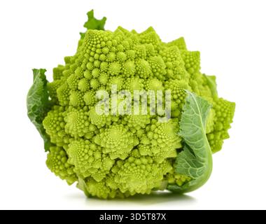 Romanesco Blumenkohl auf weißem Hintergrund Stockfoto