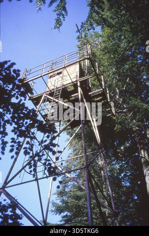 Die Grenze ist verschwunden, und Westberliner können nun auch ohne größere Formalitäten in den alten Berliner Badewannen Usedom und Rügen eintauchen. Im Wald befinden sich 1992 noch Wachtürme der ehemaligen DDR-Grenzbefestigung bis in den Rest der Welt. [Automatisierte Übersetzung] Stockfoto