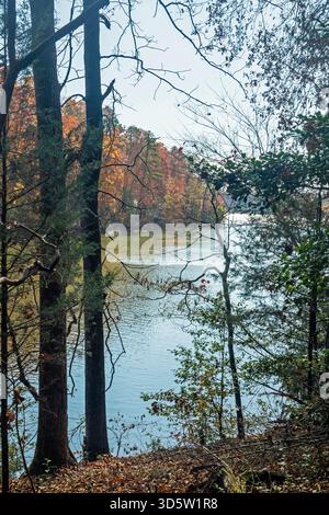 Ein Blick auf einen See durch Bäume mit einer Vielzahl von bunten Herbstblättern. Stockfoto