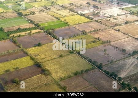 Kambodscha 2025 Phnom Penh - 13. November 2025: Reisfelder in der Nähe beim Anflug auf Phnom Penh. Stockfoto