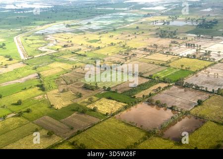 Kambodscha 2025 Phnom Penh - 13. November 2025: Reisfelder in der Nähe beim Anflug auf Phnom Penh. Stockfoto