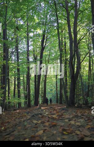 Pfad durch einen sonnendurchfluteten Herbstwald mit Silhouetten-Wanderer Stockfoto
