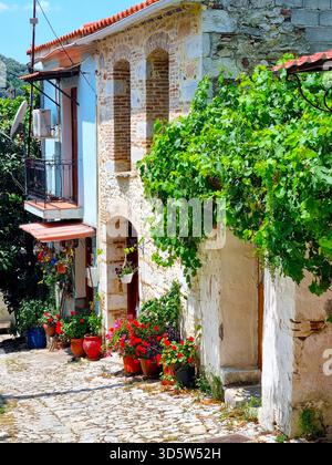 Ein typisches griechisches altes Haus in einer engen Kopfsteinpflasterstraße im Dorf Asomatos auf der Insel Lesbos, Griechenland Stockfoto