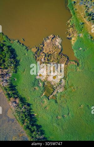 Vertikale Luftaufnahme mit zwei großen, markanten Schaleneinschlagskratern in einem dichten grünen Schilfsumpf, der an dunkles Wasser grenzt. Der Einfluss militärischer Konflikte auf empfindliche natürliche Feuchtgebiete. Stockfoto