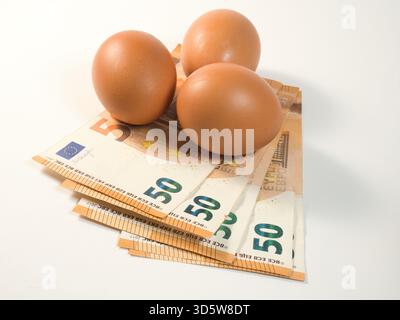 Eier und Euro-Banknoten - drei braune Eier liegen auf einem Stapel von 50 Euro-Banknoten, was die steigenden Lebensmittelkosten, die wirtschaftliche Inflation und die Ausgaben für Lebensmittel symbolisiert Stockfoto