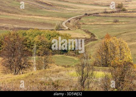 Eine kurvige, unbefestigte Straße führt durch sanfte Hügel und Felder, mit Bäumen in Herbstfarben und offenem Himmel. Stockfoto